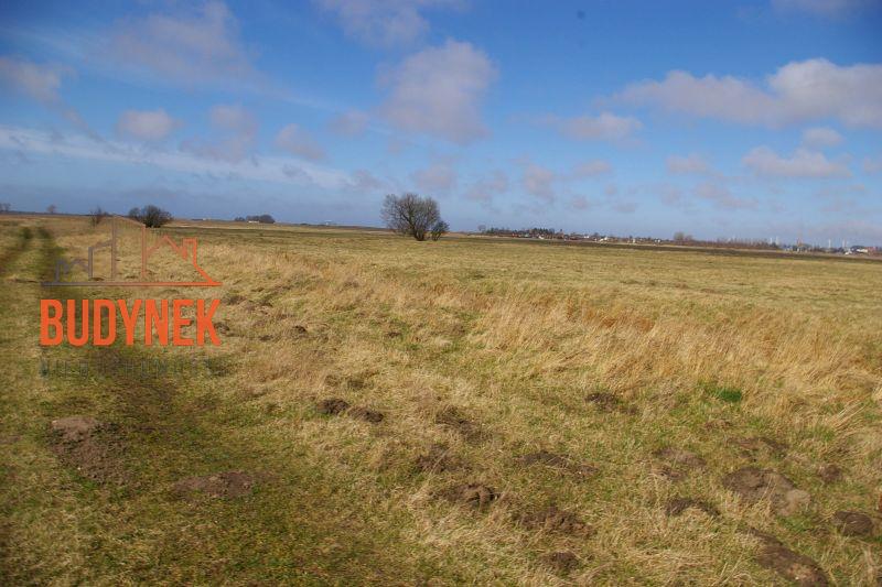 Działka rolna - Domasławice  (6)