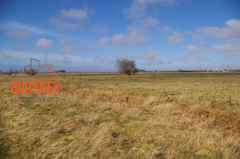 Działka rolna - Domasławice  (7)