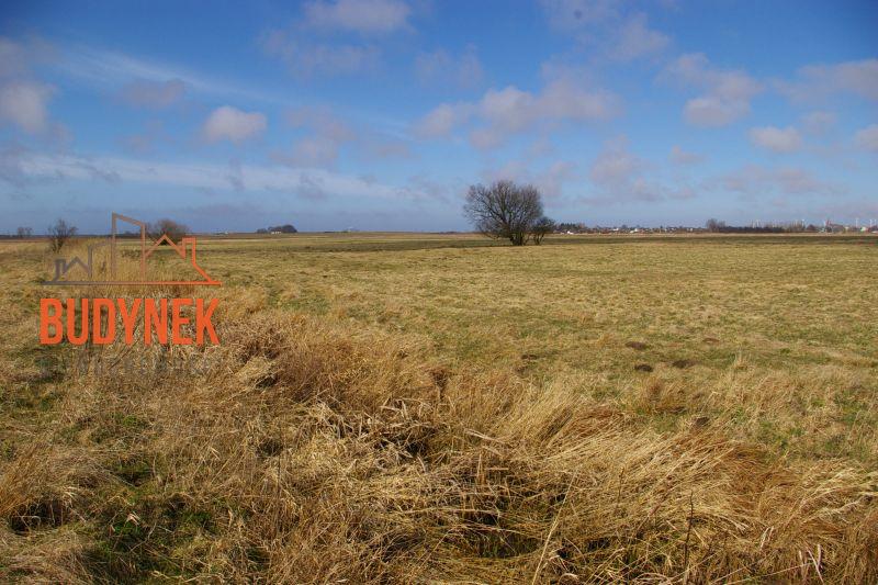 Działka rolna - Domasławice  (8)