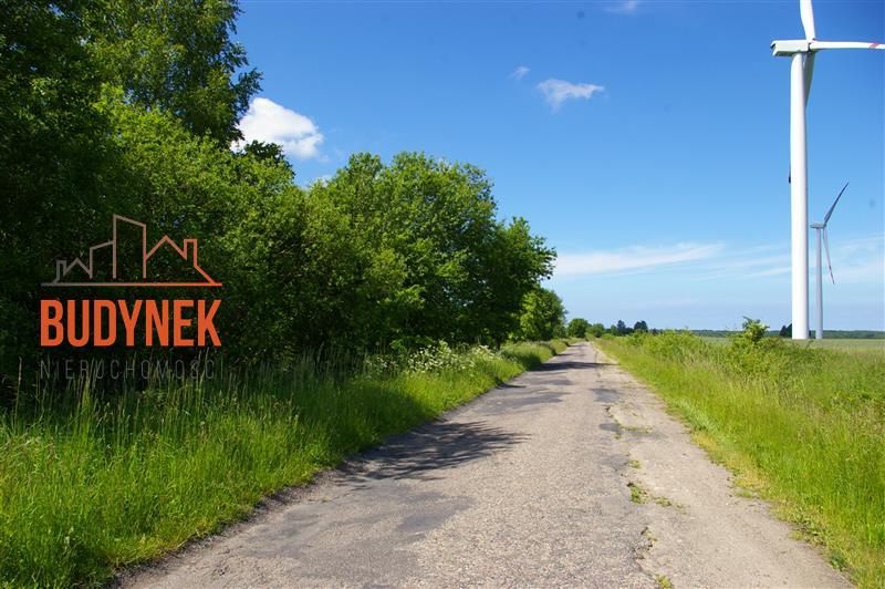 Działka rolna - Jeżyce  (11)