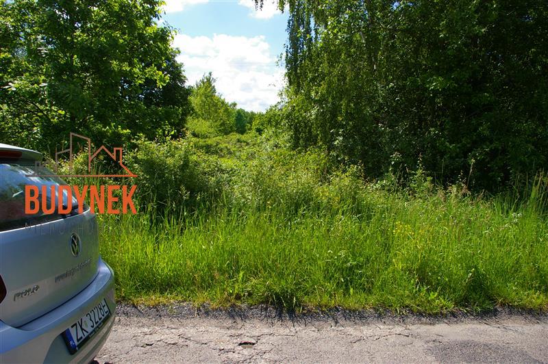 Działka rolna - Jeżyce  (12)