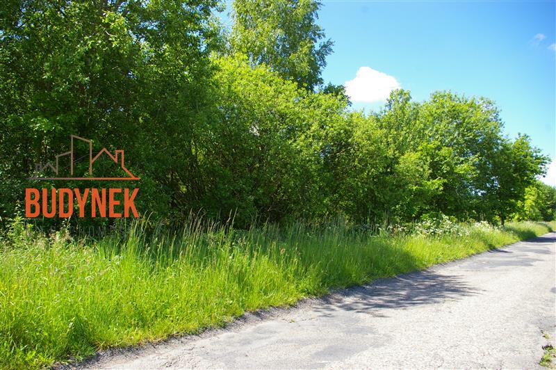 Działka rolna - Jeżyce  (13)