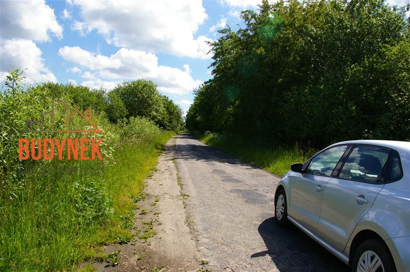 Działka rolna - Jeżyce  (14)