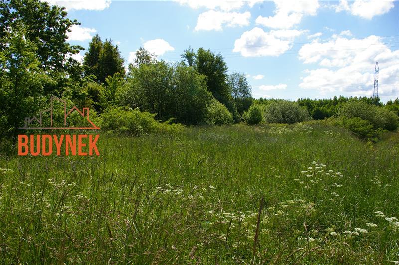 Działka rolna - Jeżyce  (3)