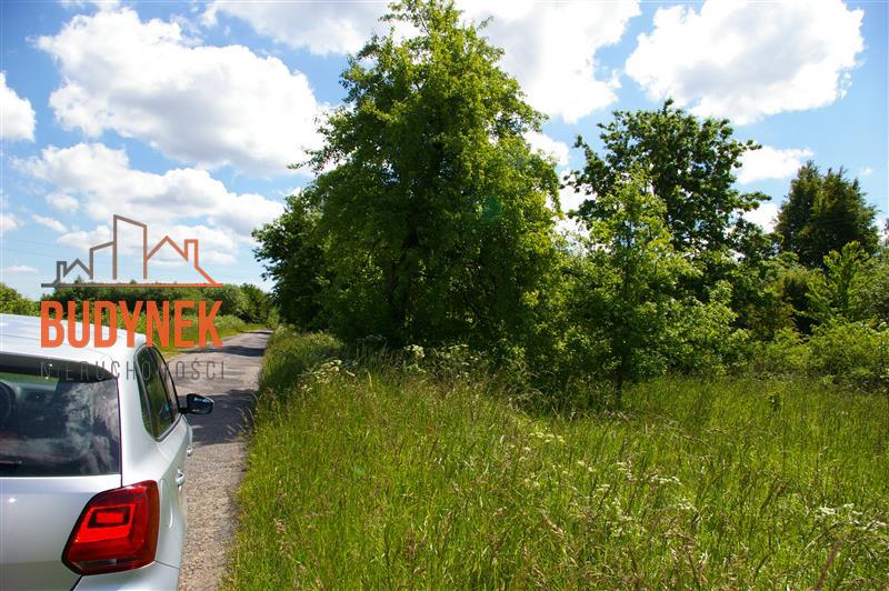 Działka rolna - Jeżyce  (4)