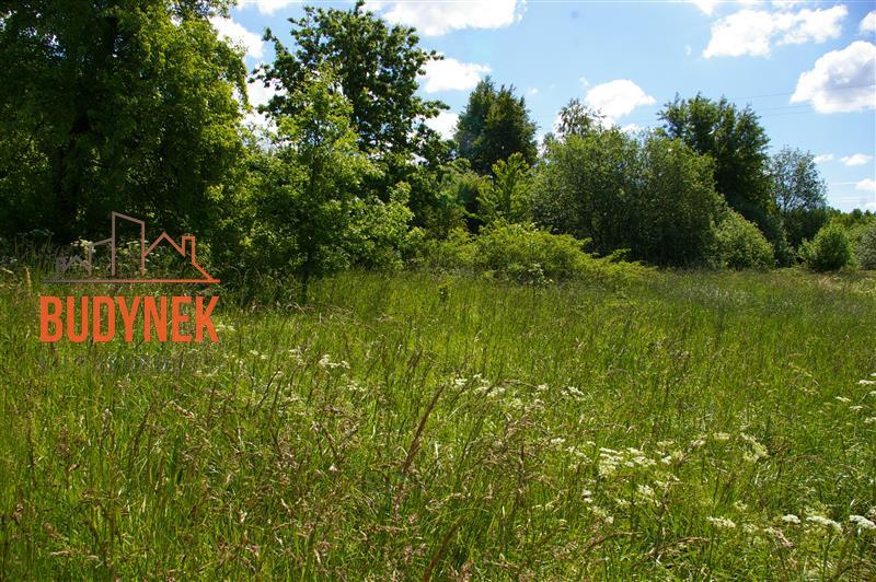 Działka rolna - Jeżyce  (5)