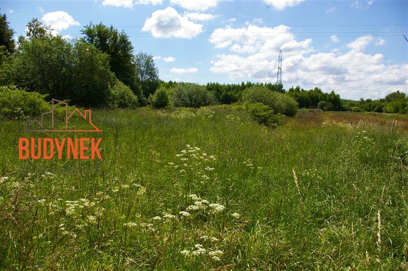 Działka rolna - Jeżyce  (6)