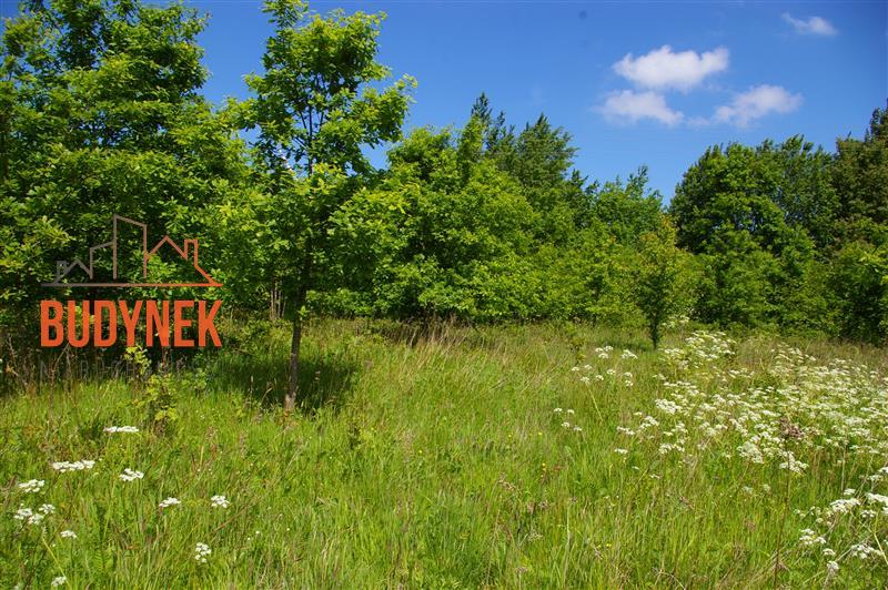 Działka siedliskowa - Jeżyce  (10)