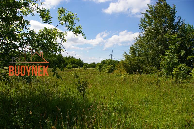 Działka siedliskowa - Jeżyce  (12)