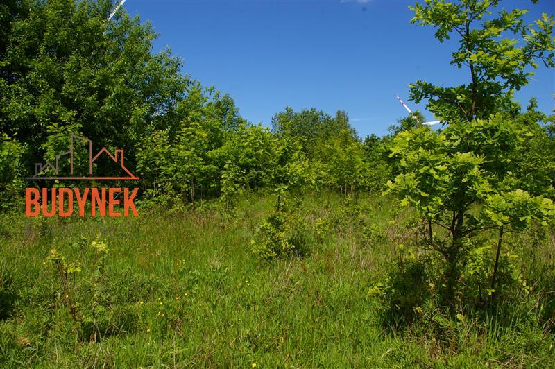 Działka siedliskowa - Jeżyce  (13)