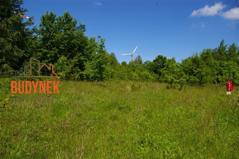 Działka siedliskowa - Jeżyce  (14)