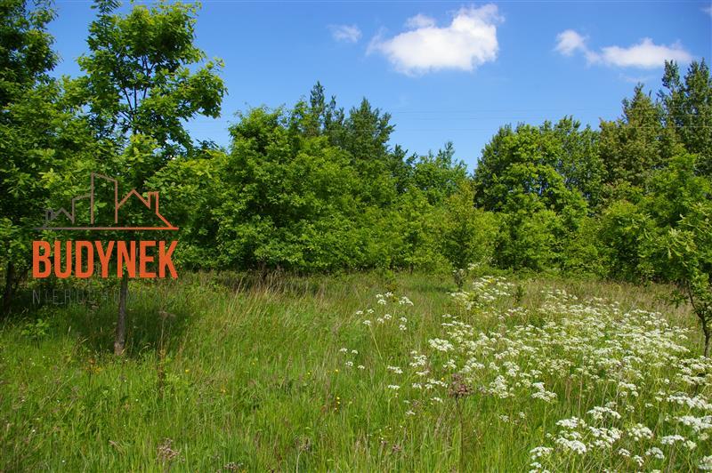 Działka siedliskowa - Jeżyce  (15)