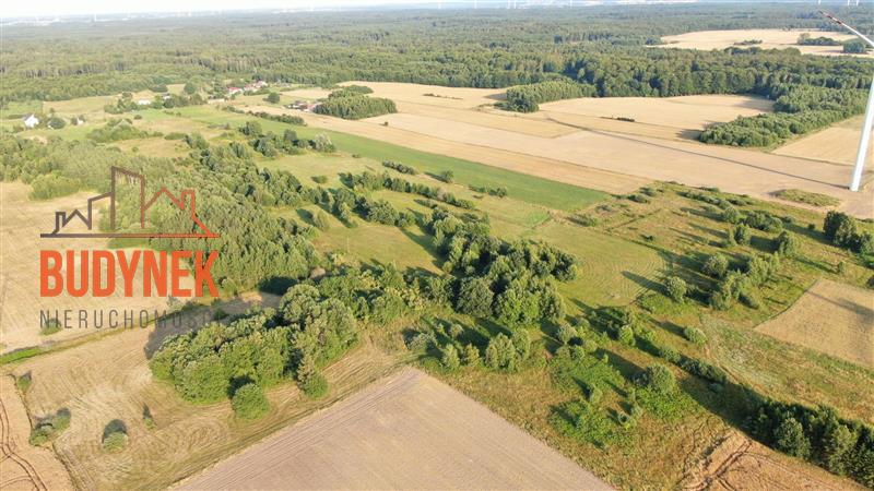 Działka siedliskowa - Jeżyce  (4)