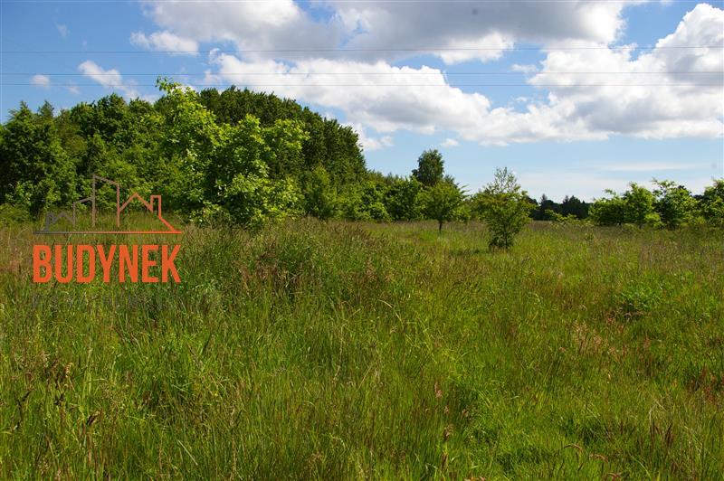 Działka siedliskowa - Jeżyce  (5)