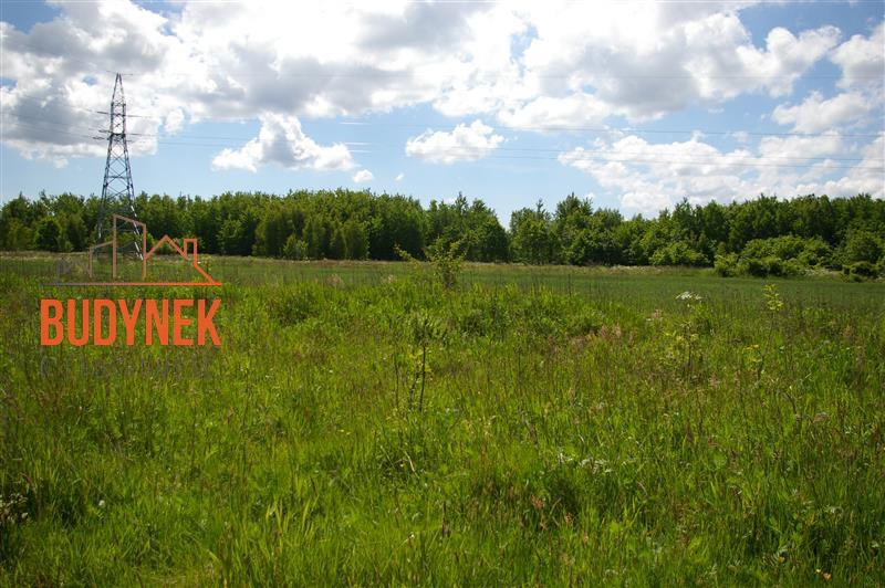 Działka siedliskowa - Jeżyce  (6)