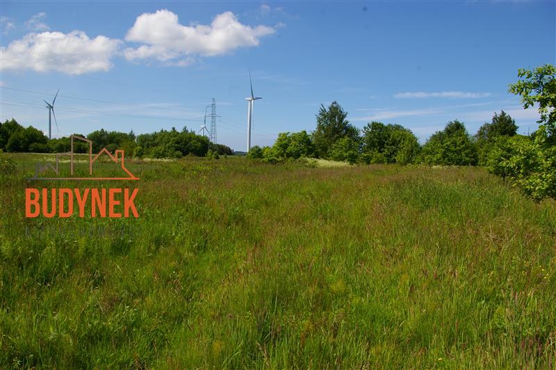 Działka siedliskowa - Jeżyce  (7)