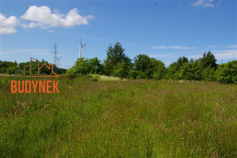 Działka siedliskowa - Jeżyce  (8)