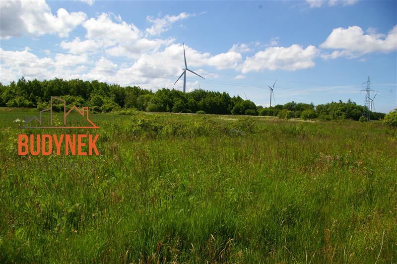 Działka siedliskowa - Jeżyce  (9)