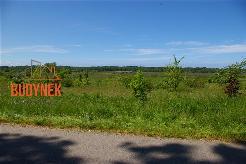 Działka budowlana - Pęciszewko  (3)