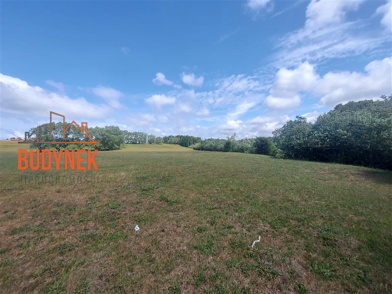 Działka budowlana - Kowalewiczki  (12)