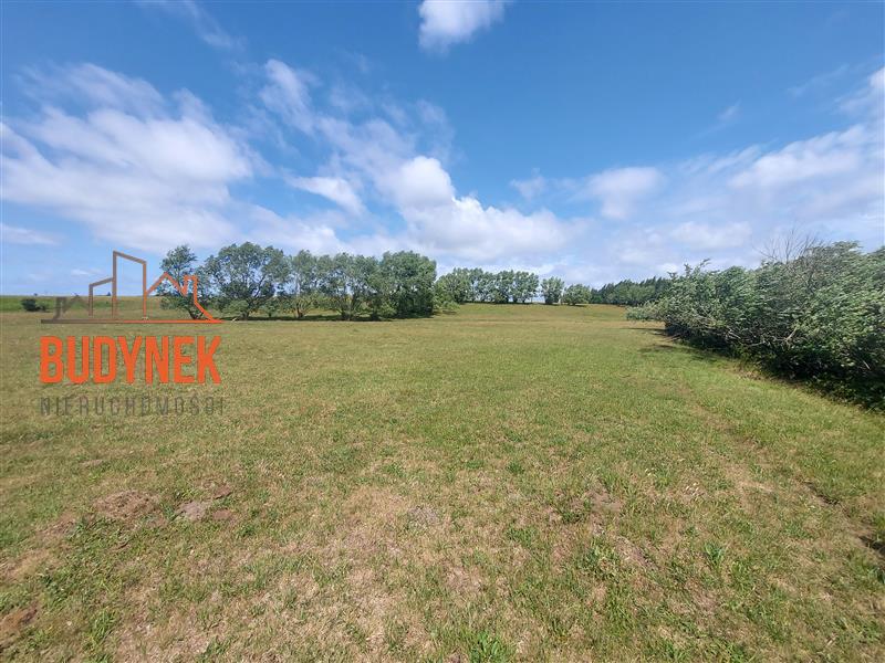 Działka budowlana - Kowalewiczki  (13)