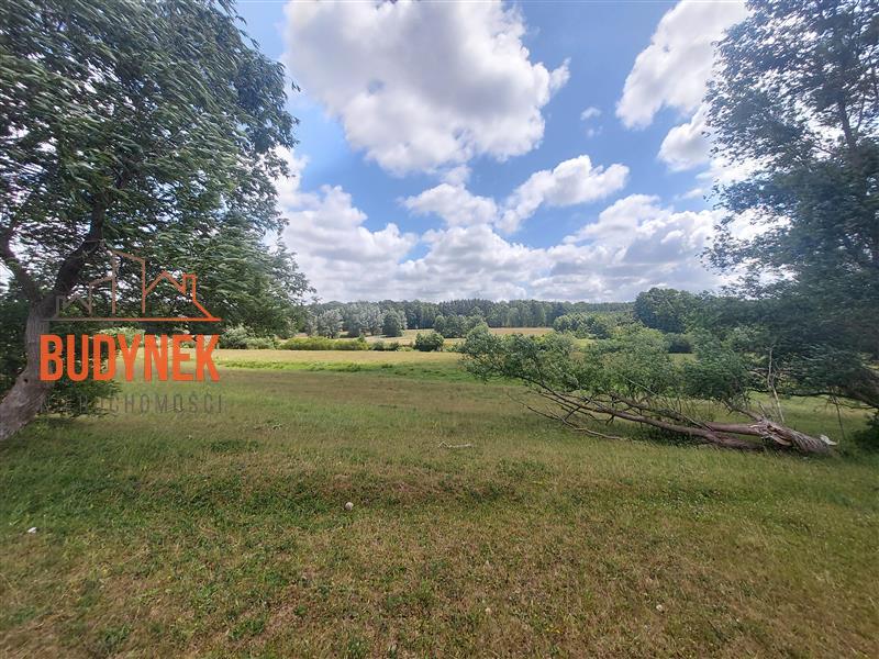 Działka budowlana - Kowalewiczki  (15)