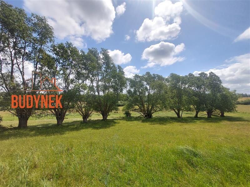 Działka budowlana - Kowalewiczki  (5)