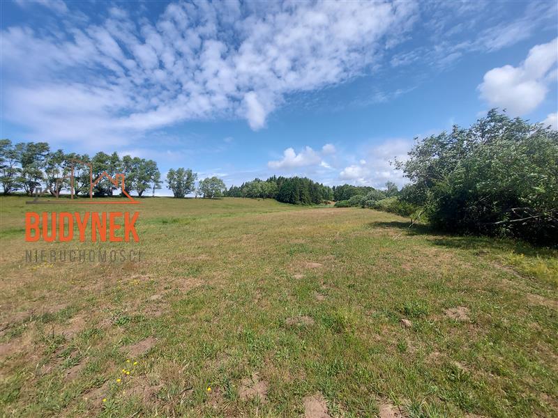 Działka budowlana - Kowalewiczki  (7)