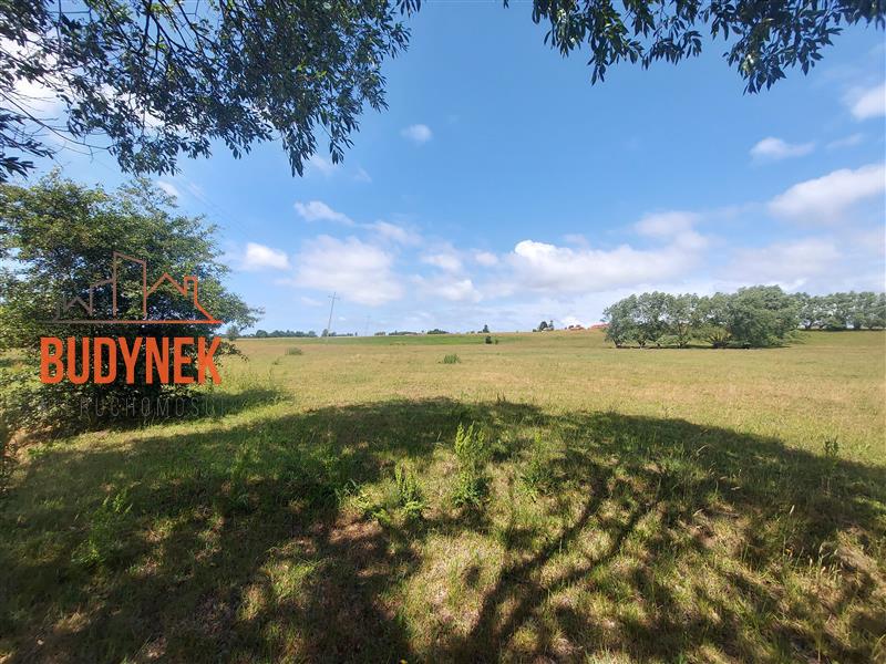 Działka budowlana - Kowalewiczki  (9)