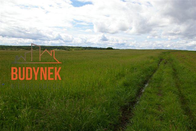 Działka rolna - Bobolin  (10)