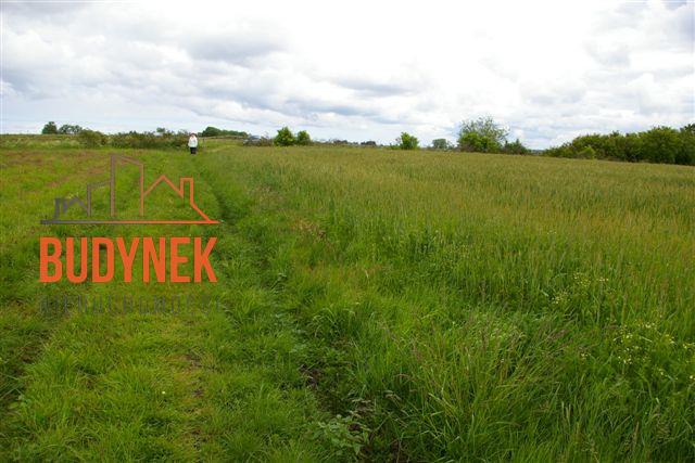 Działka rolna - Bobolin  (11)