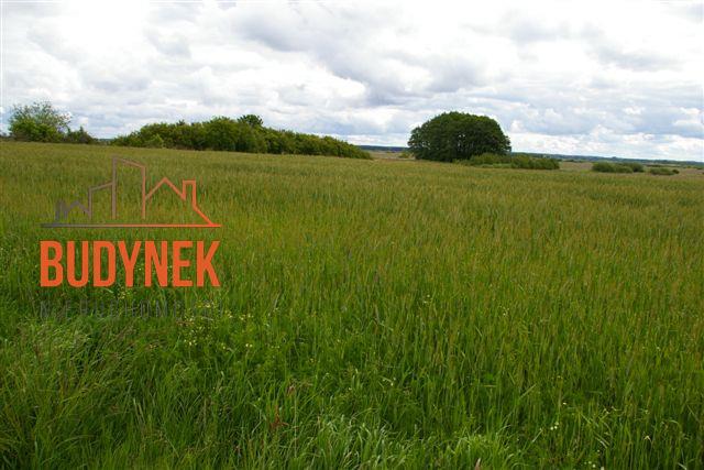 Działka rolna - Bobolin  (12)