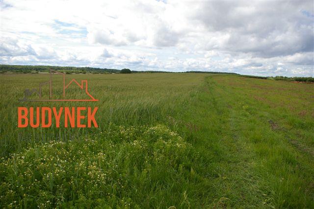 Działka rolna - Bobolin  (13)