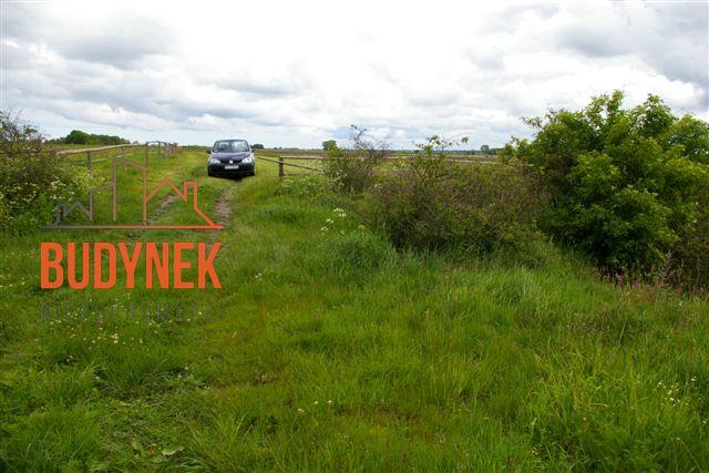 Działka rolna - Bobolin  (14)