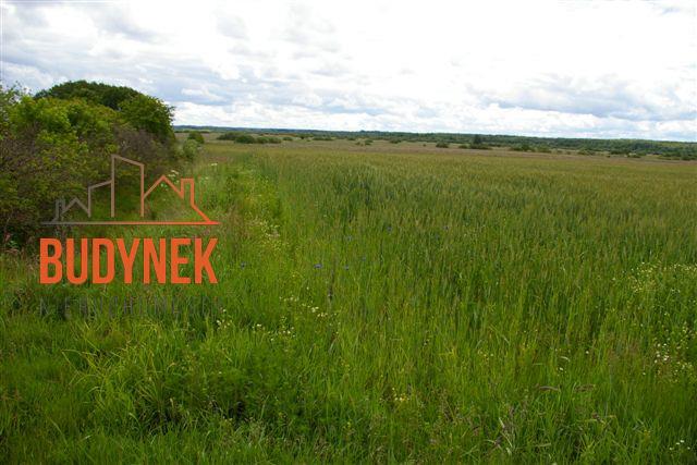 Działka rolna - Bobolin  (15)