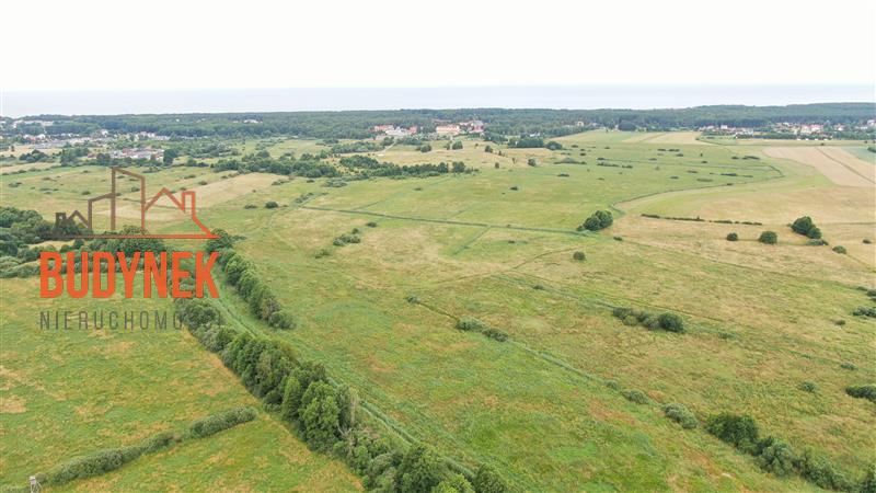 Działka rolna - Bobolin  (5)