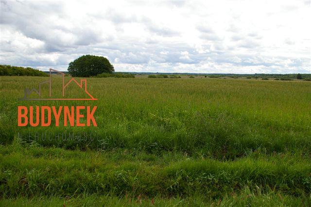 Działka rolna - Bobolin  (9)