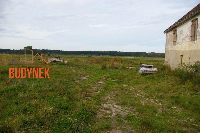 Działka budowlana - Pęciszewko  (15)