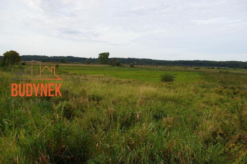 Działka budowlana - Pęciszewko  (6)