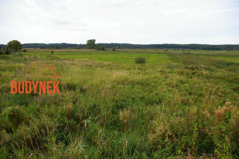 Działka budowlana - Pęciszewko  (7)