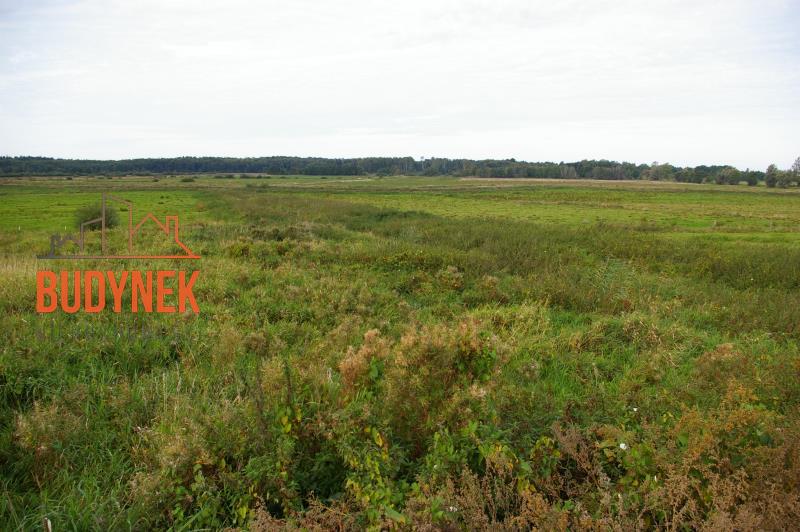 Działka budowlana - Pęciszewko  (8)
