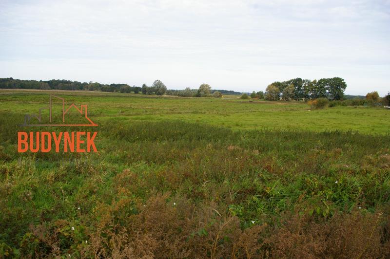 Działka budowlana - Pęciszewko  (9)