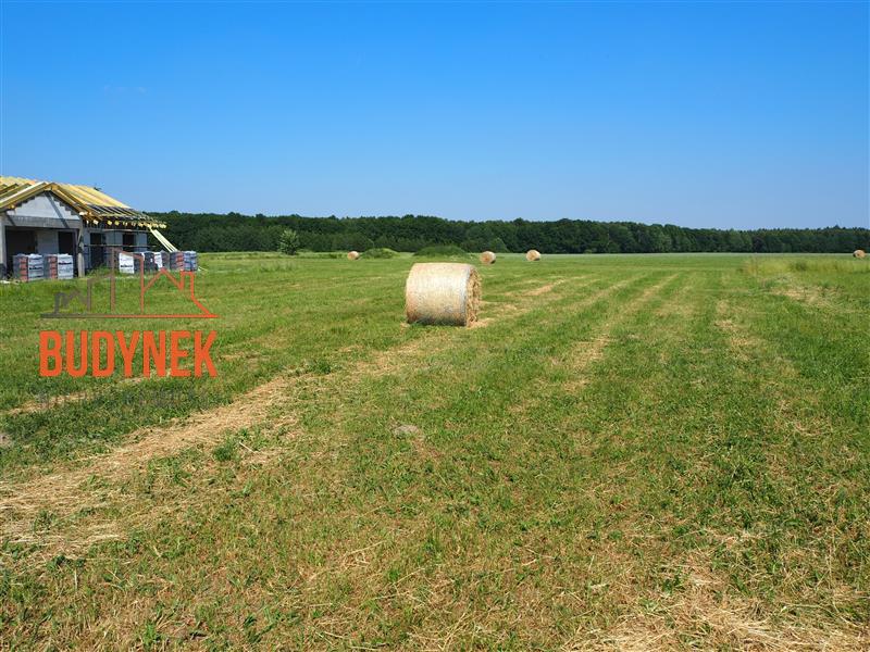 Działka budowlana - Stary Jarosław  (11)