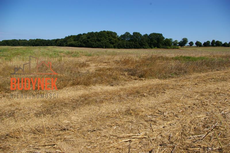 Działka budowlana - Kopnica  (14)