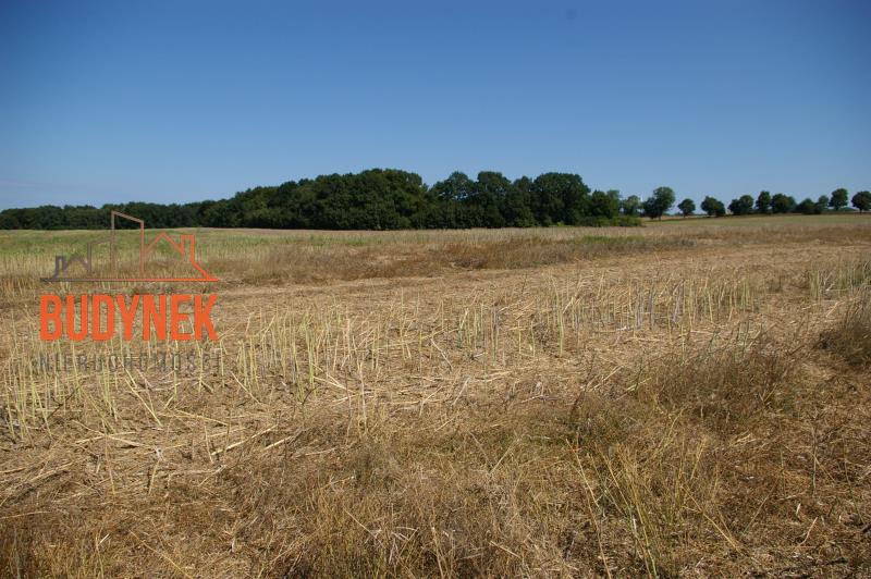 Działka budowlana - Kopnica  (13)