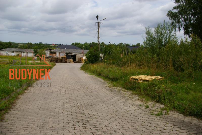 Działka budowlana - Pękanino  (9)