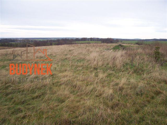 Działka budowlana - Zakrzewo  (11)