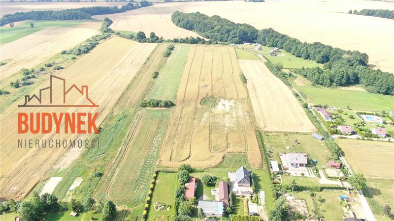 Działka budowlana - Zakrzewo  (4)