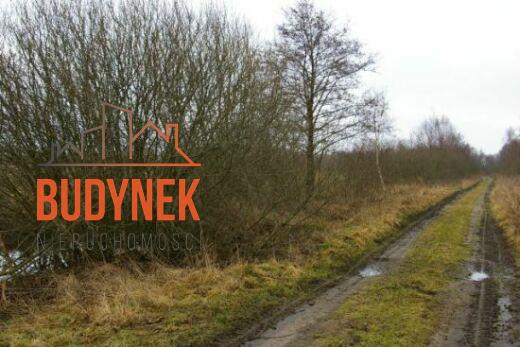 Działka rolna - Darłowo  (11)