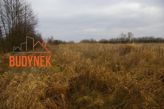 Działka rolna - Darłowo  (12)